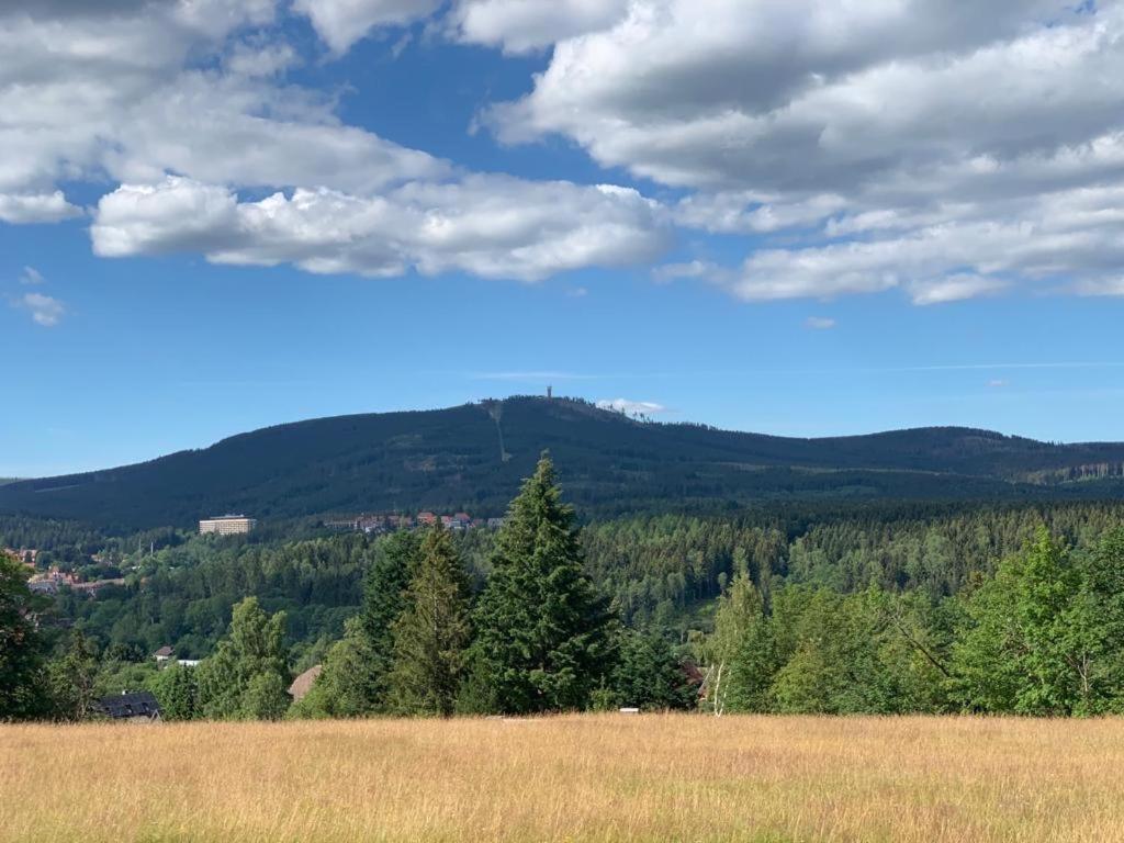 Apartament Fuehl Dich Wohl Braunlage Zewnętrze zdjęcie